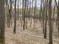 Eladó mezogazdasagi ingatlan, Borsosberényben 5.9 M Ft