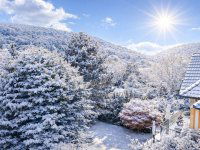 Eladó családi ház, II. kerületben 475 M Ft, 5+2 szobás