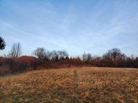 Eladó mezogazdasagi ingatlan, Szentgyörgyváron 3.5 M Ft