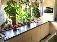 Eladó panellakás, Szegeden 69 M Ft, 2+1 szobás