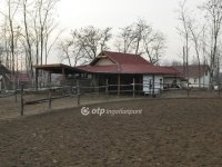 Eladó mezogazdasagi ingatlan, Bugyin 235 M Ft, 5 szobás