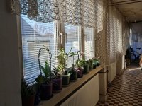 Eladó családi ház, Zámolyon 42 M Ft, 3 szobás