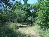 Eladó családi ház, Hegyhátszentjakabon 28 M Ft, 2 szobás