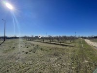 Eladó mezogazdasagi ingatlan, Dabason 195 M Ft, 6 szobás