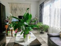 Eladó családi ház, Dunakeszin 119 M Ft, 3 szobás