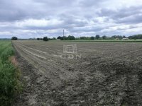 Eladó mezogazdasagi ingatlan, Pócsmegyeren 5.9 M Ft