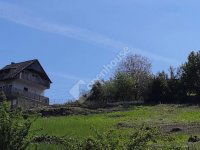 Eladó telek, Zalaegerszegen 8 M Ft / költözzbe.hu