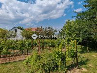 Eladó családi ház, Zalaegerszegen 11.99 M Ft, 1 szobás