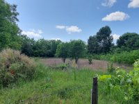 Eladó telek, Helvécián 17.9 M Ft / költözzbe.hu