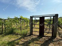 Eladó telek, Boncodföldén 0.85 M Ft / költözzbe.hu