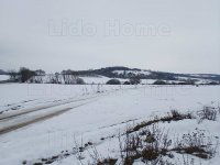 Eladó mezogazdasagi ingatlan, Környén 28 M Ft