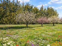 Eladó telek, Érden 14.99 M Ft / költözzbe.hu