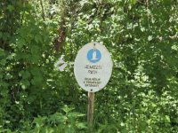 Eladó családi ház, Vízváron 189 M Ft, 5 szobás