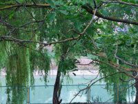 Eladó telek, Siófokon 175 M Ft / költözzbe.hu