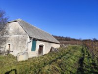 Eladó mezogazdasagi ingatlan, Balatoncsicsón 29.3 M Ft