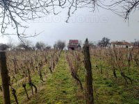 Eladó nyaraló, Zalaszentlászlón 45 M Ft, 1 szobás