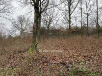 Eladó telek, Tahitótfalun 8 M Ft / költözzbe.hu