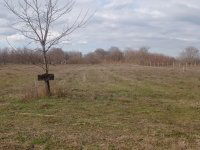 Eladó mezogazdasagi ingatlan, Csemőn 3.5 M Ft