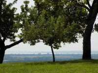 Eladó telek, Alsópáhokon 15.999 M Ft / költözzbe.hu