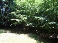 Eladó családi ház, Hegyhátszentjakabon 28 M Ft, 2 szobás