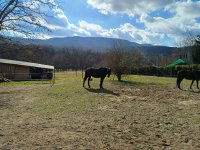 Eladó telek, Pilisszentivánon 49.9 M Ft / költözzbe.hu