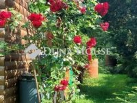 Eladó családi ház, Birjánon 84.9 M Ft, 4 szobás