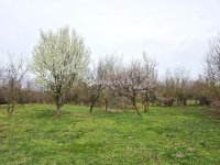 Eladó családi ház, Aranyosgadányban 39.9 M Ft, 3 szobás