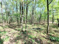 Eladó családi ház, Kecskeméten 124.9 M Ft, 1+4 szobás