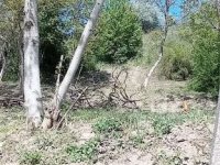 Eladó mezogazdasagi ingatlan, Tatabányán 14.79 M Ft