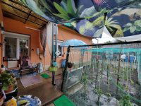 Eladó családi ház, Vecsésen 49.5 M Ft, 2 szobás