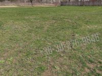 Eladó telek, Budakeszin 120 M Ft / költözzbe.hu