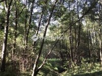 Eladó telek, Bagodon 12.49 M Ft / költözzbe.hu