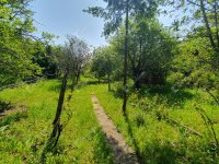 Eladó telek, Miskolcon 3.99 M Ft / költözzbe.hu