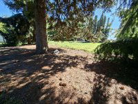 Eladó nyaraló, Siófokon 79.9 M Ft, 4 szobás