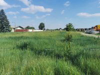 Eladó telek, Vecsésen 149 M Ft / költözzbe.hu