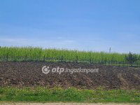 Eladó telek