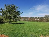 Eladó telek, Budakeszin 90 M Ft / költözzbe.hu