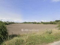 Eladó mezogazdasagi ingatlan, Szigetszentmiklóson 65 M Ft