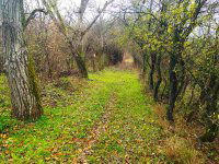 Eladó mezogazdasagi ingatlan