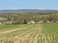 Eladó mezogazdasagi ingatlan, Alsópáhokon 27 M Ft