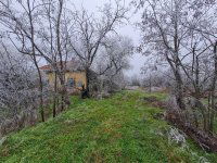 Eladó mezogazdasagi ingatlan, Tiszajenőn 2 M Ft