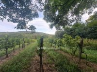 Eladó telek, Káptalantótin 9.5 M Ft / költözzbe.hu