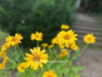 Eladó téglalakás, II. kerületben 96 M Ft, 2+1 szobás