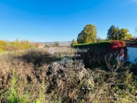 Eladó telek, Dunabogdányban 58.5 M Ft / költözzbe.hu