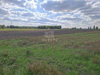 Eladó mezogazdasagi ingatlan