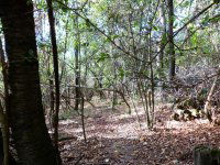 Eladó telek, Sukorón 8.9 M Ft / költözzbe.hu