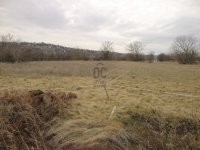 Eladó mezogazdasagi ingatlan, Törökbálinton 27.5 M Ft