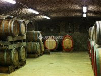 Eladó mezogazdasagi ingatlan