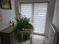 Eladó családi ház, Diósdon 350 M Ft, 6 szobás