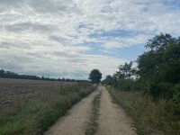 Eladó telek, Vitnyéden 138 M Ft / költözzbe.hu